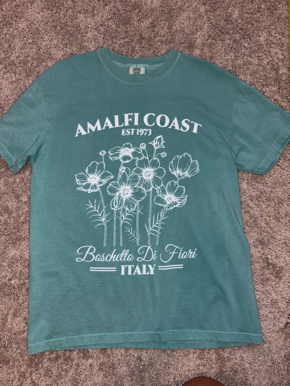 Prune & Wild Amalfi Coast Teal Relaxed Graphic Tee